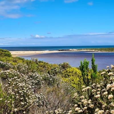 Ocean View